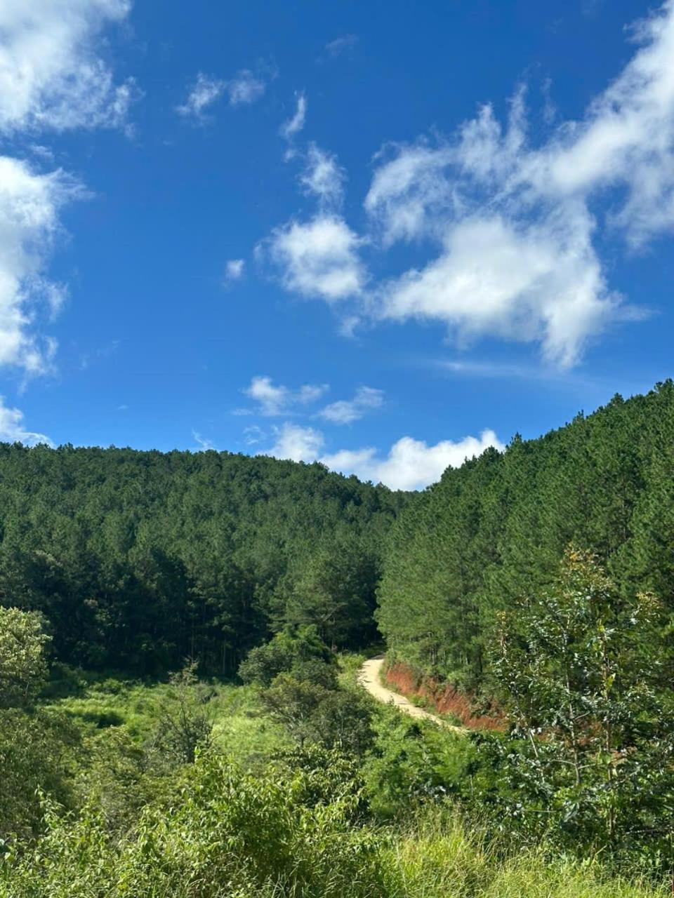 Hotel Coco 2 Da Lat Zewnętrze zdjęcie