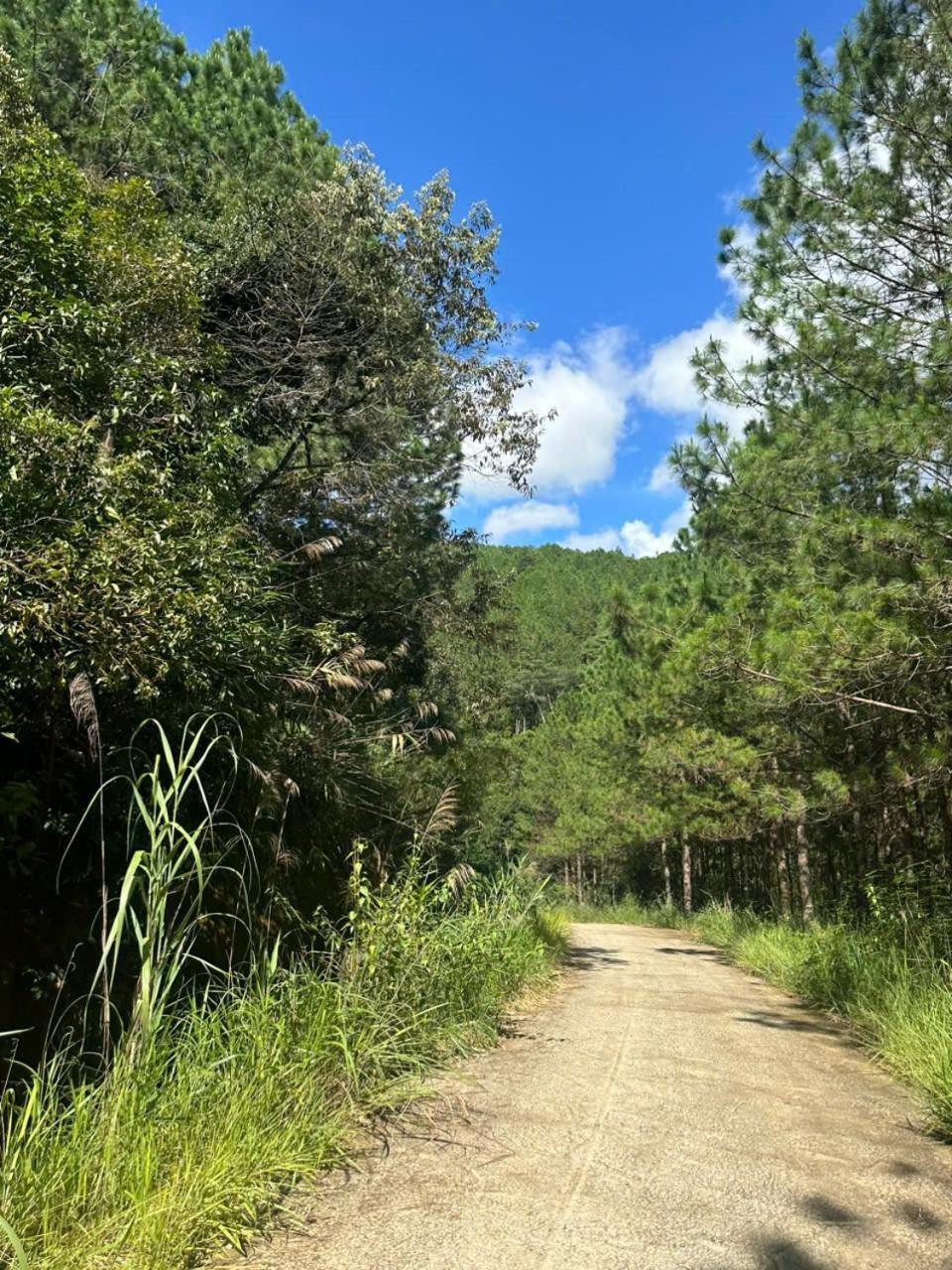Hotel Coco 2 Da Lat Zewnętrze zdjęcie